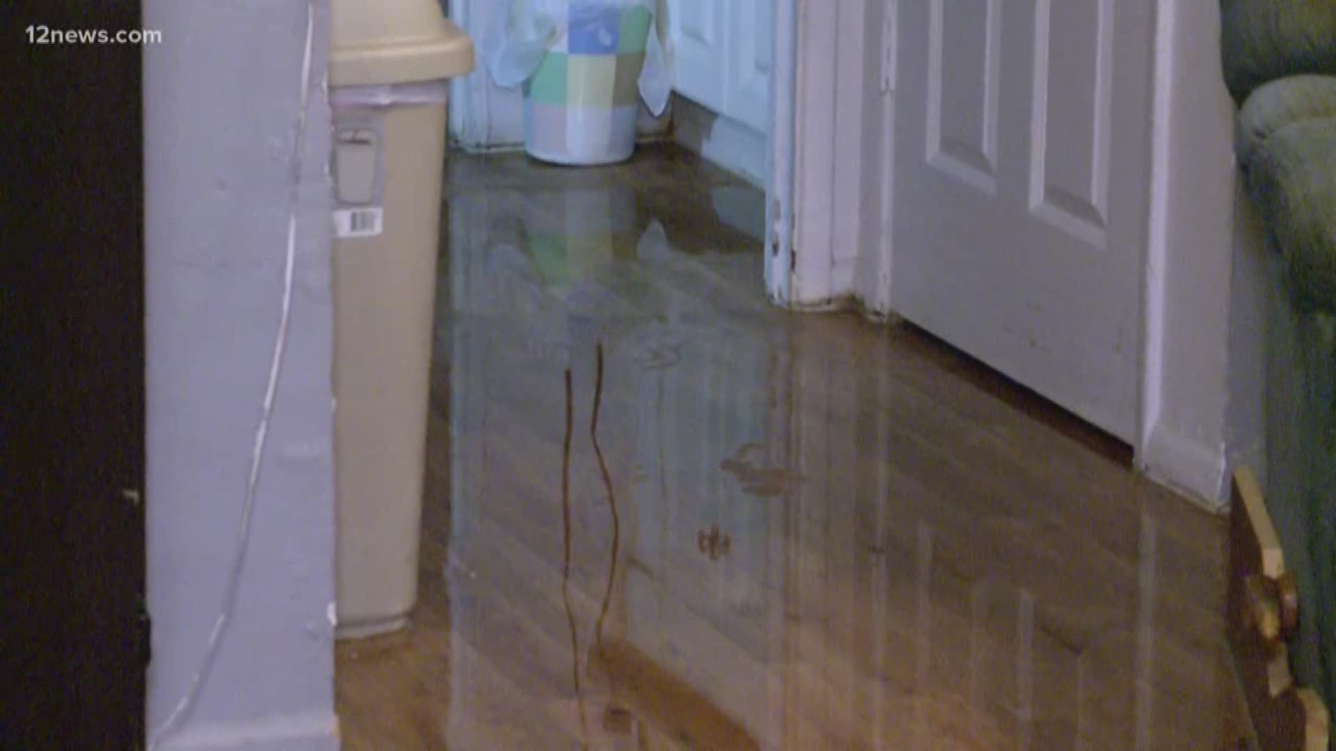 About 30 residents had their apartments flooded with heavy monsoon rain in Mesa last night. While they clean up, they are worried about the next round of storms.