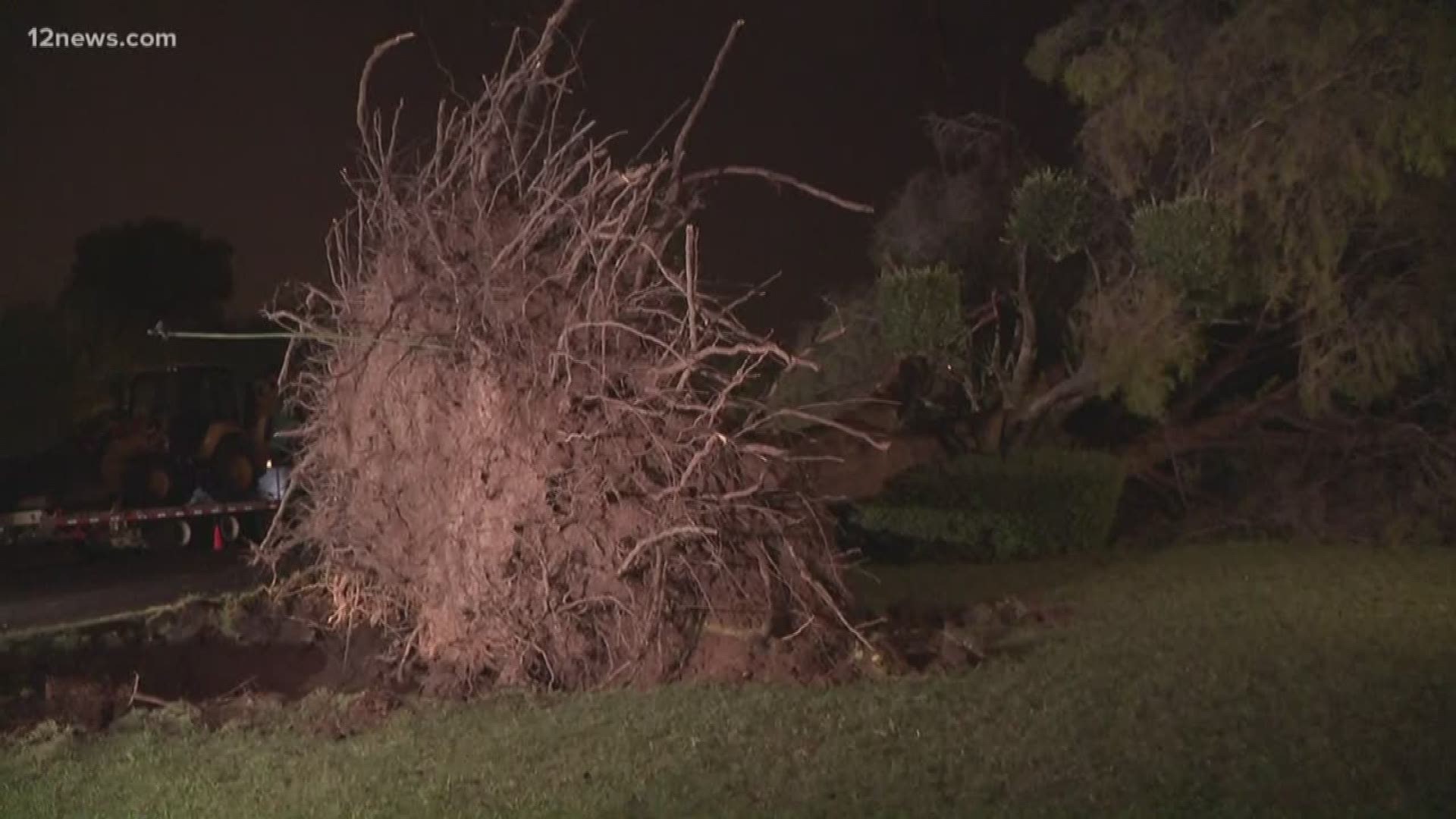 Multiple trees and power lines were knocked over in Mesa when monsoon storms rolled through the east Valley Tuesday afternoon into the evening.