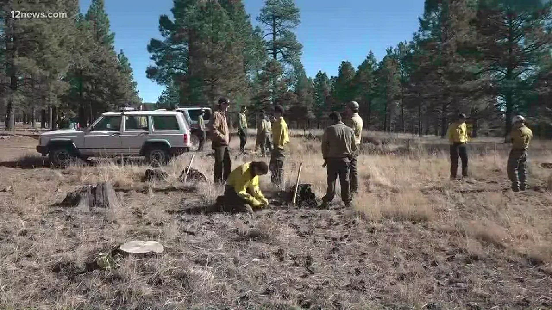 Fire crews will implement prescribed burns near Flagstaff as part of the water shed protection project for the forest.