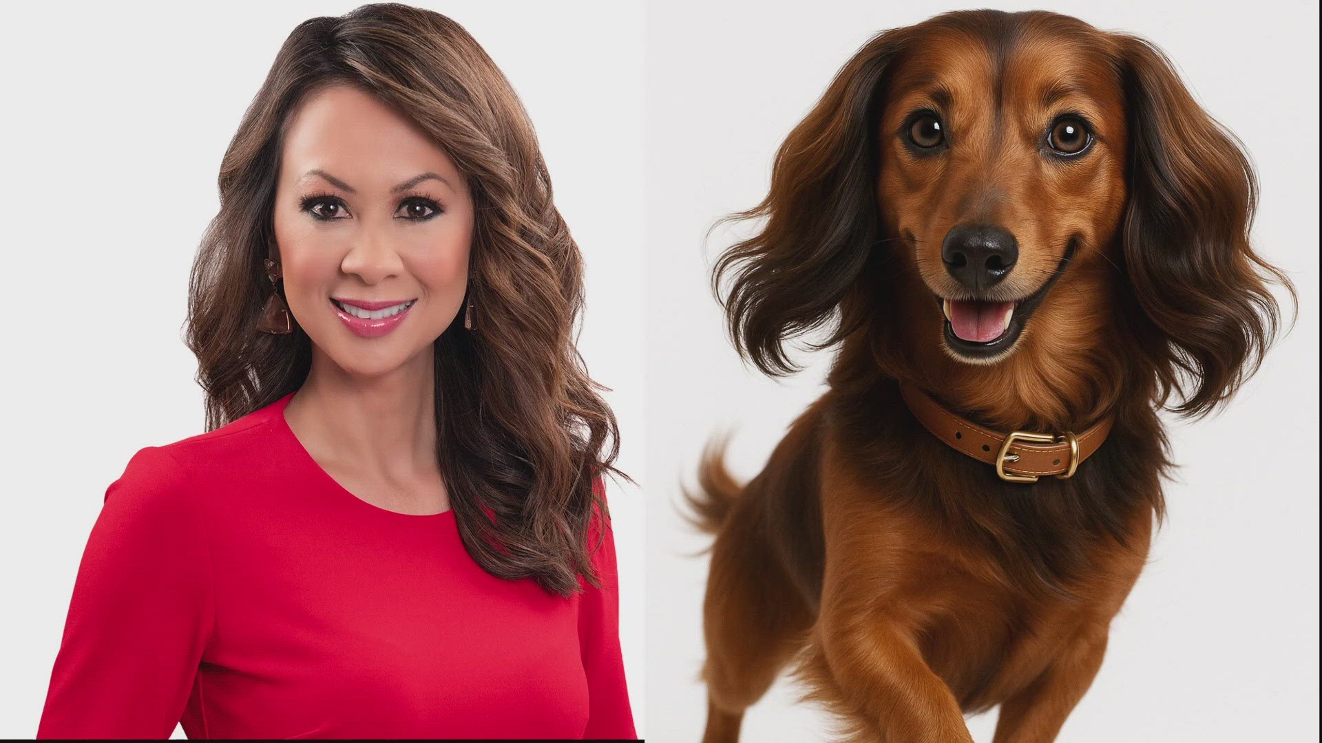 We used Chat GPT to turn our anchors into dogs and our anchor's dogs into humans. Because, why not?