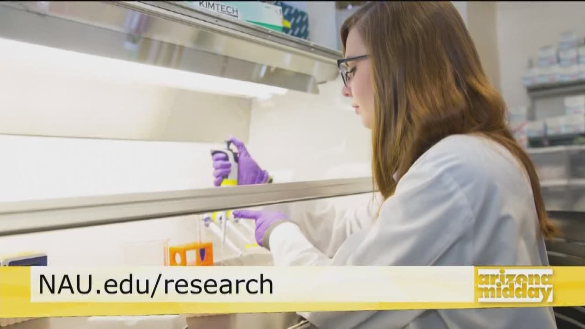 From forestry to infectious diseases NAU is at the forefront of research and innovation around the world.