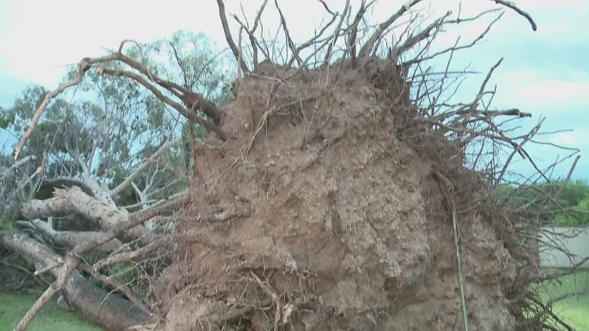 Several Mesa residents are waking up Wednesday with storm damage to yesterday's rainfall. Matt Yurus has the details.