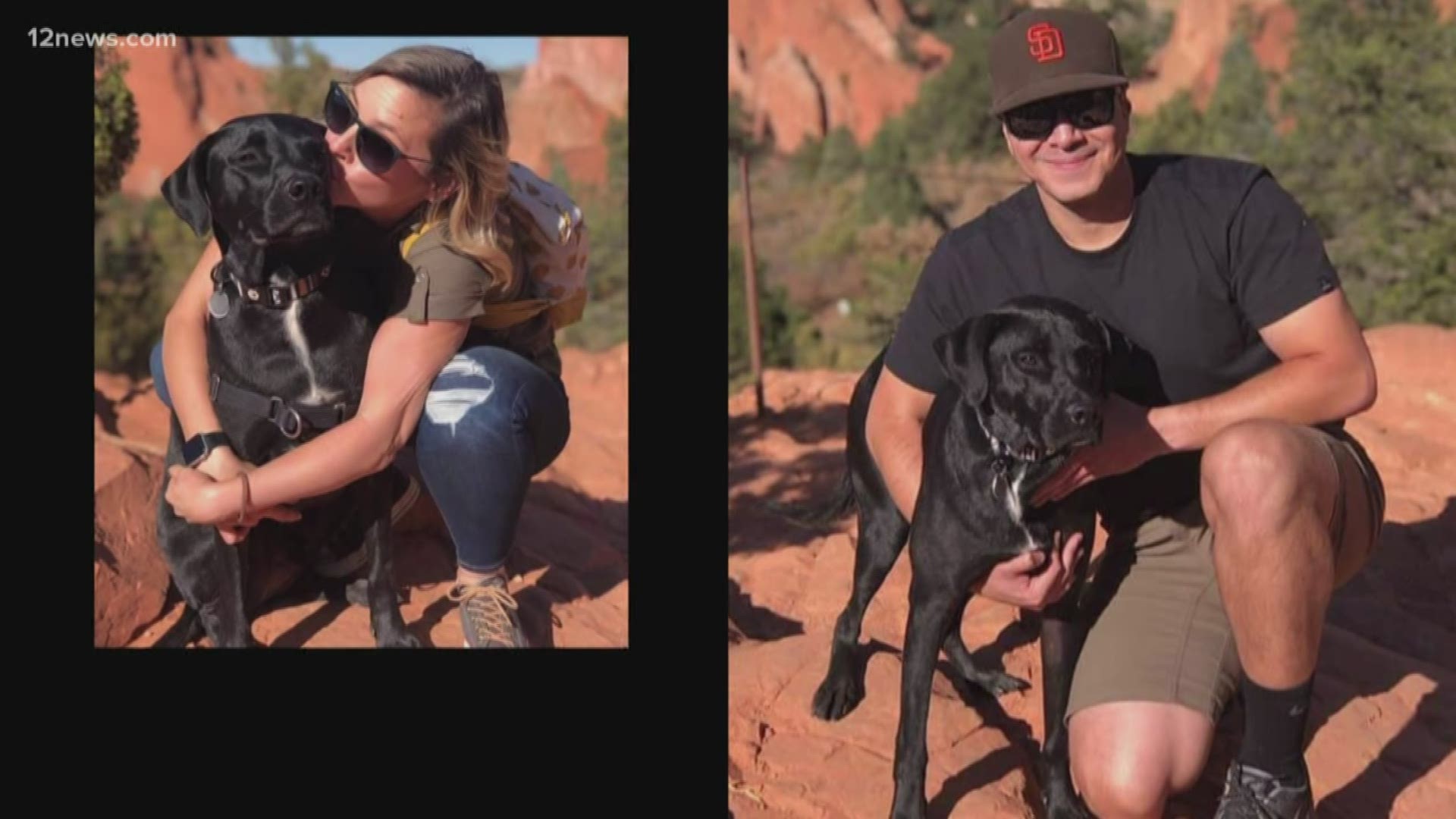 A San Diego couple on their way to the Grand Canyon were involved in a deadly head-on crash. Their dog, Obi, got loose. If spotted, call the Tuba City Humane Society