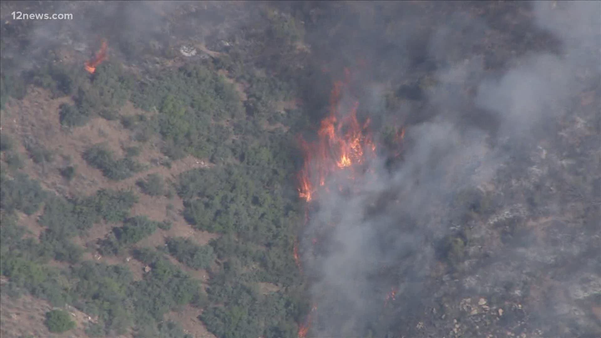 A massive fire is spreading through the Tonto National Forest. It is the 7th largest wildfire in Arizona's history. Right now, it is 5% contained.