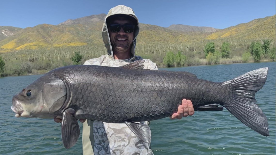 Fly Fishing in Arizona: Top Spots, Where Big Fish Are & More 