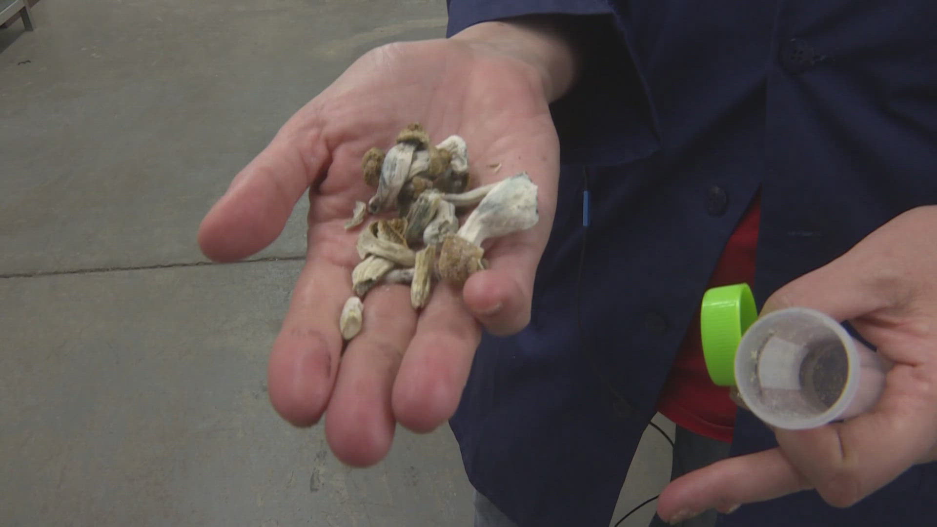 Many first responders have already reported on the benefits of mushrooms, but the opportunity to test the medicine could run out soon.