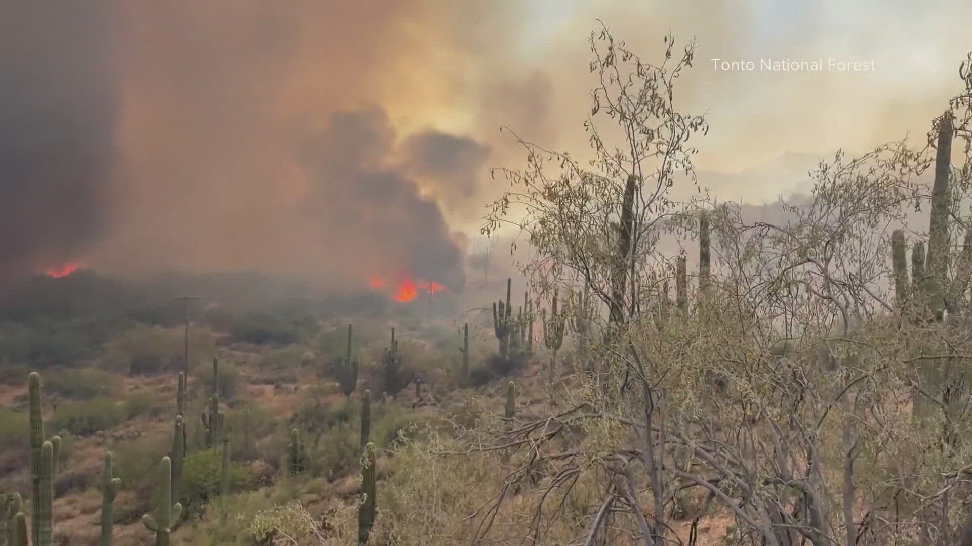 The fire ignited on the Cave Creek Ranger District near the Riverside Campground, south of Bartlett Lake, on Sunday.