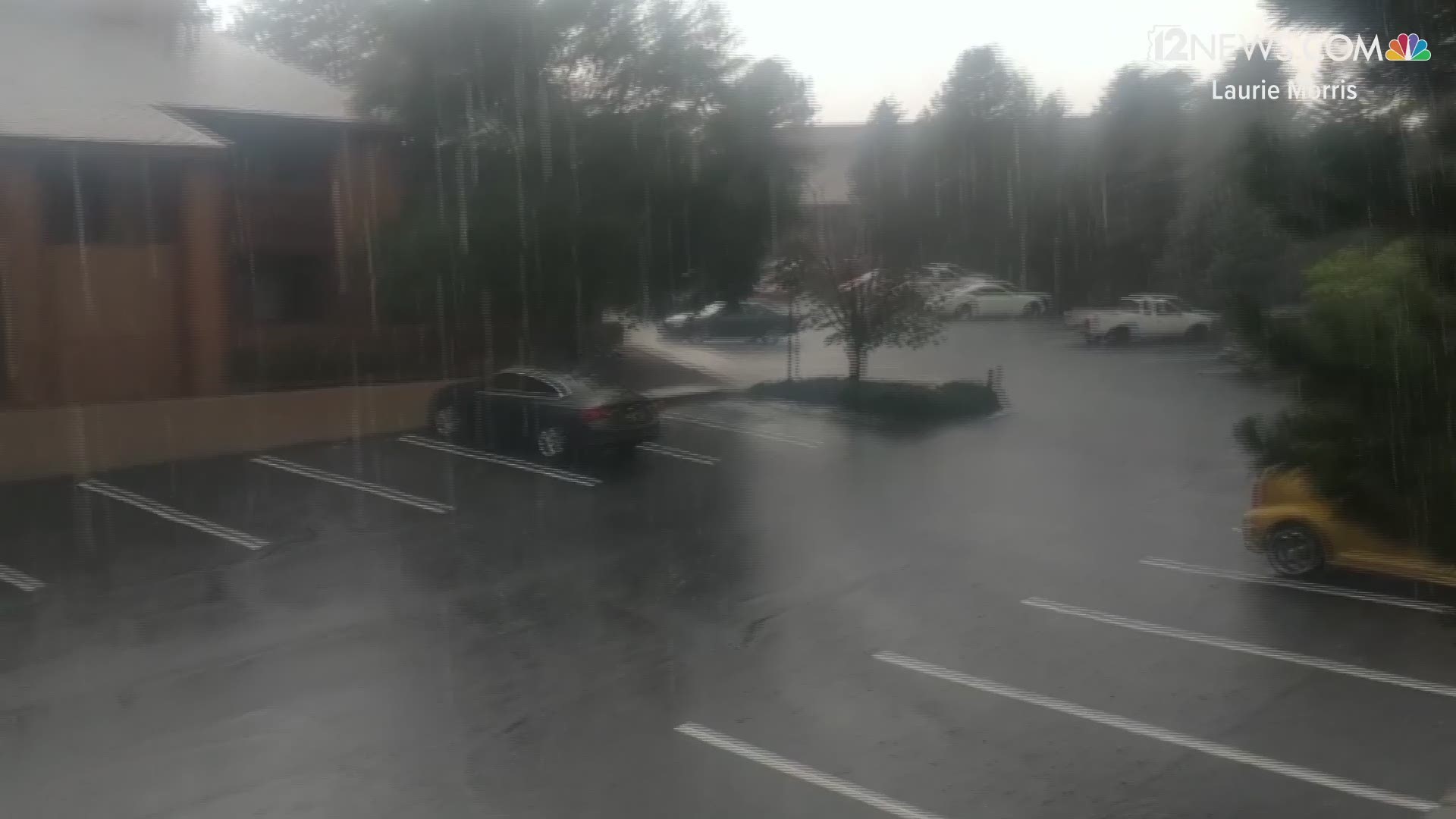 Our 12 News Weather Watchers captured some video of the storms around Flagstaff on Aug. 28, 2019. Some even reported seeing hail in some areas.