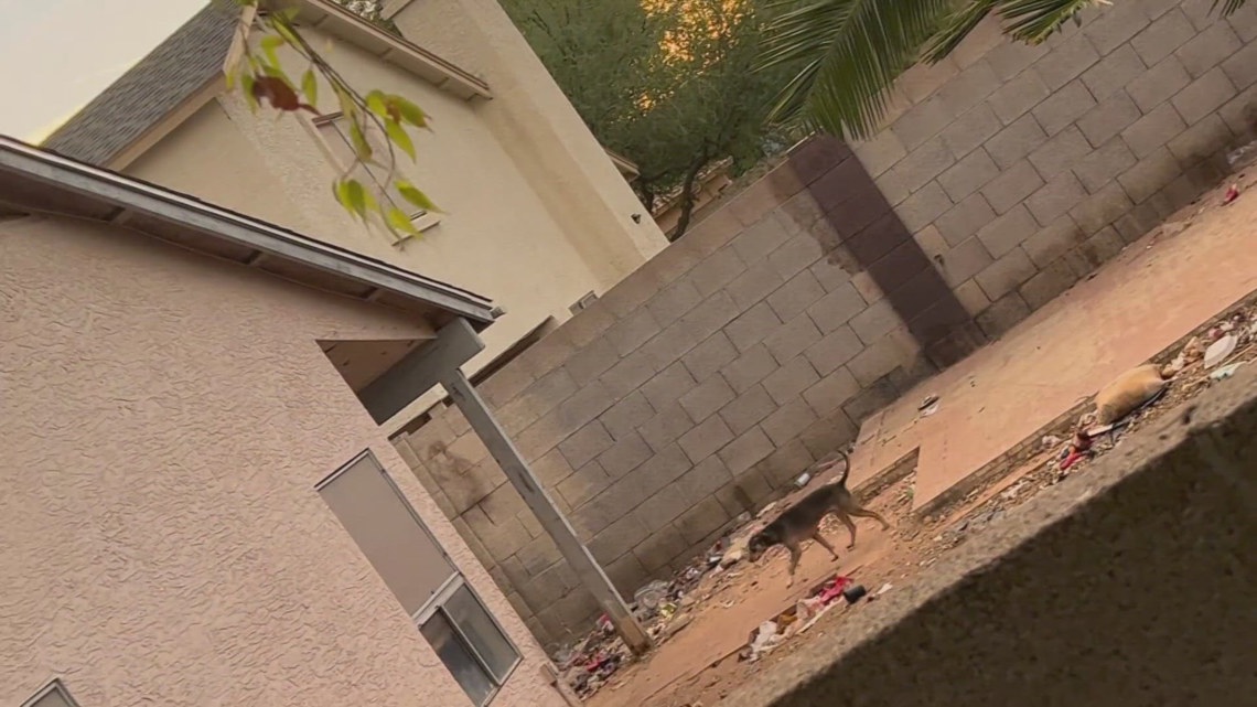'It was very miserable': Neighbor forced to move after years living next to Peoria dog hoarding home