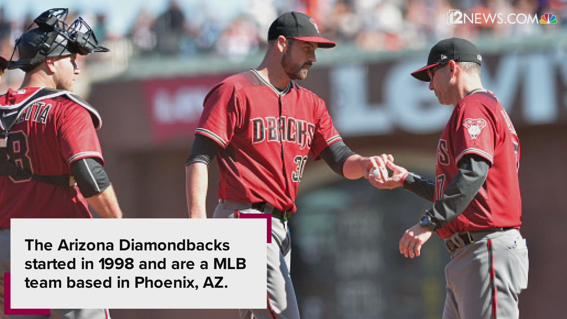 Here are some quick facts about the Arizona Diamondbacks if you plan to enjoy a baseball game this season.