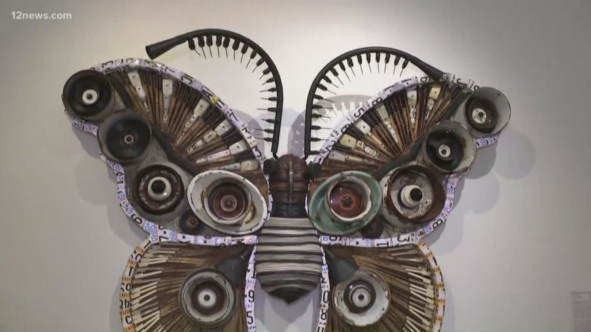 The "Junkyard Jungle" is the latest exhibit you can find at the I.D.E.A. Museum in Mesa.