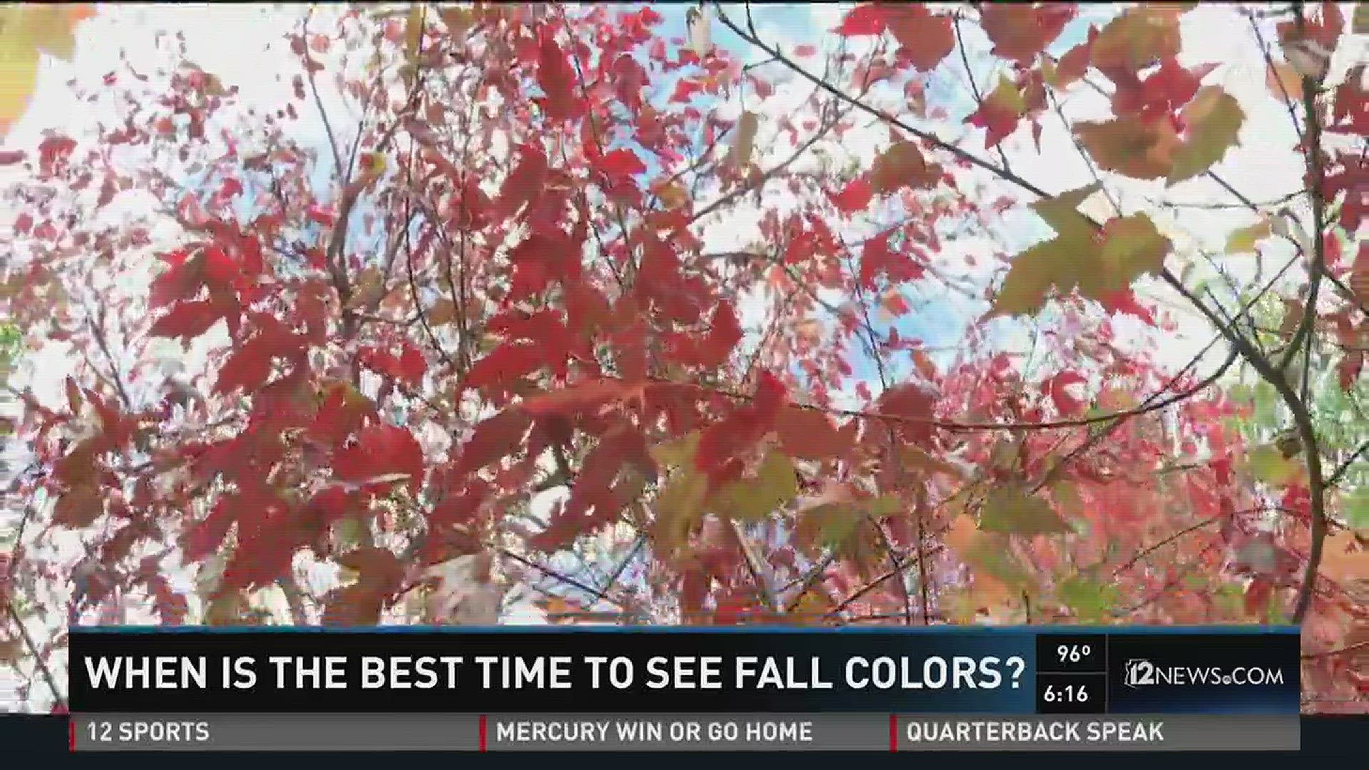 Flagstaff's 'LEAFometer' guides when to see prime leaf colors