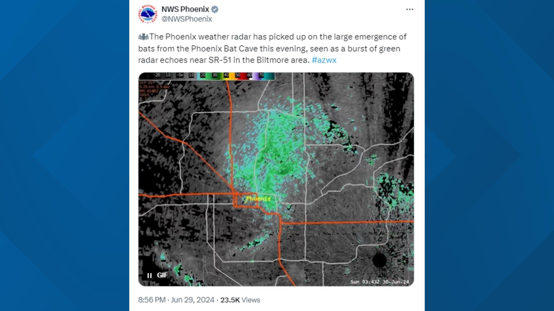 Does Phoenix have a bat cave? | 12news.com