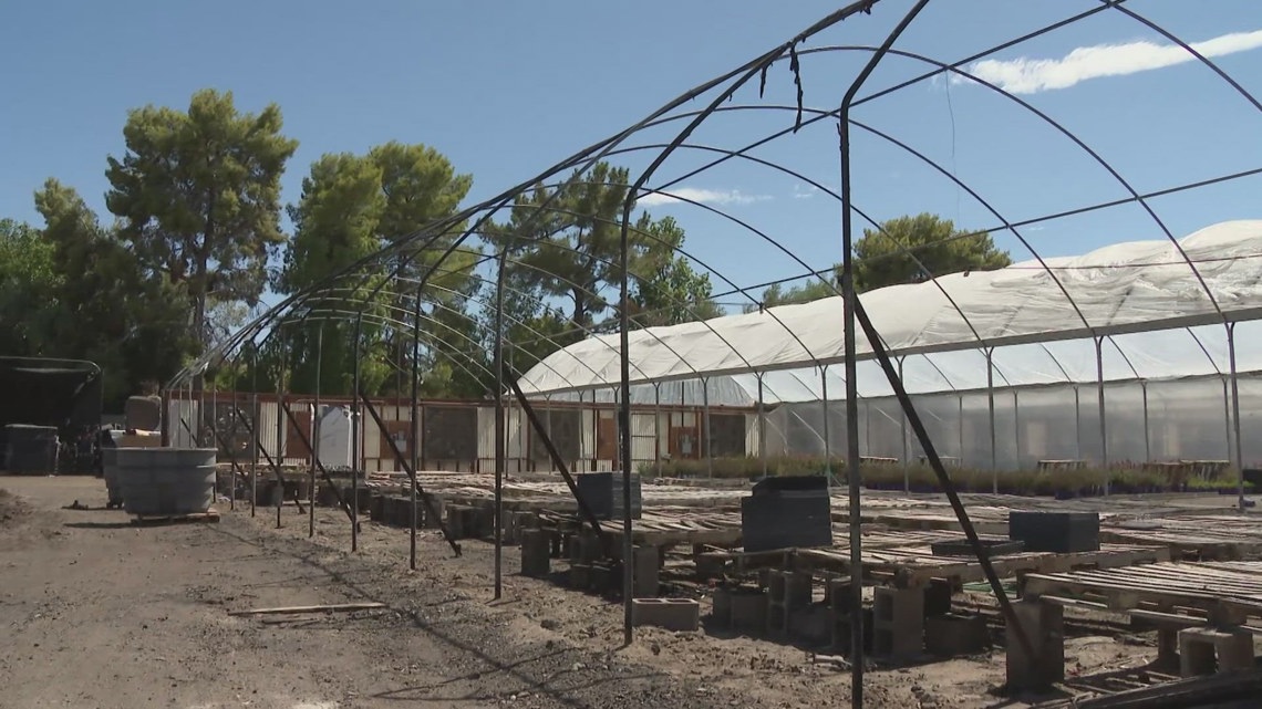 Fire Damages South Phoenix Nursery 12news fire-damages-south-phoenix-nursery-12news