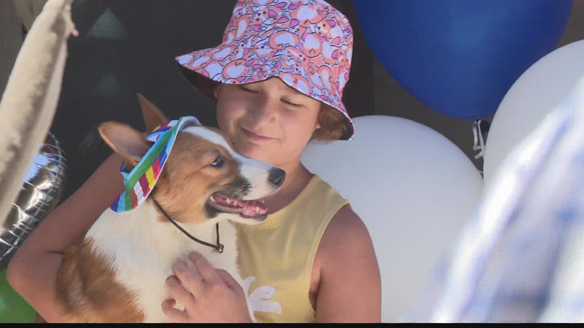 Valley girl battling leukemia gets corgi puppy to help her in her fight
