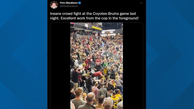 1 arrested, officer injured in brawl at Arizona Coyotes game