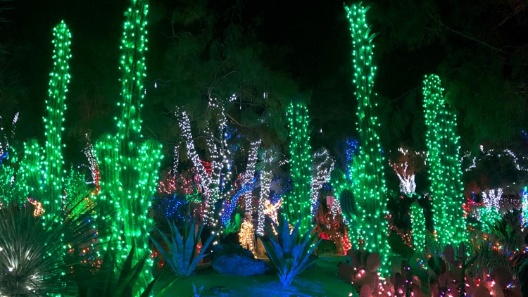 Cactus christmas deals lights