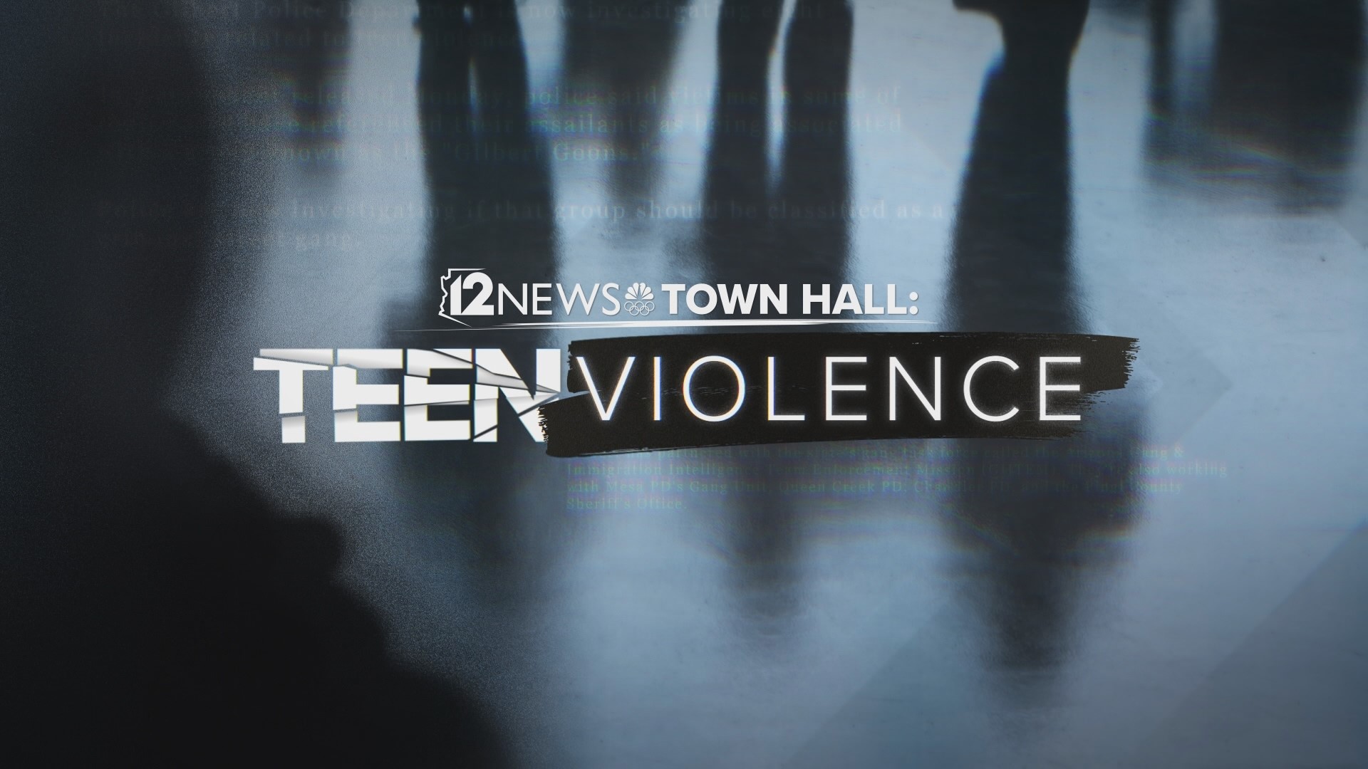 At the 12News Town Hall on Teen Violence in the East Valley, Mark Curtis & Caribe Devine talk to a panel of experts about the root causes