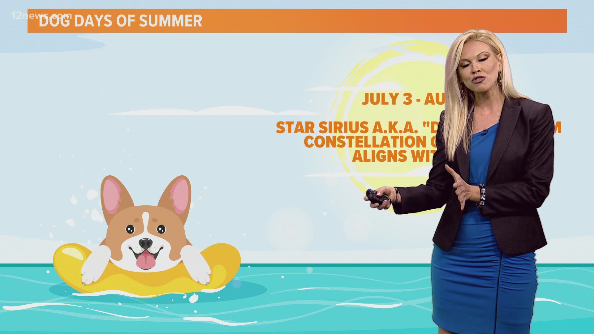 Team 12's Krystle Henderson explains the origin of the phrase "dog days of summer." She also talks about some star gazing tips during the month of August.