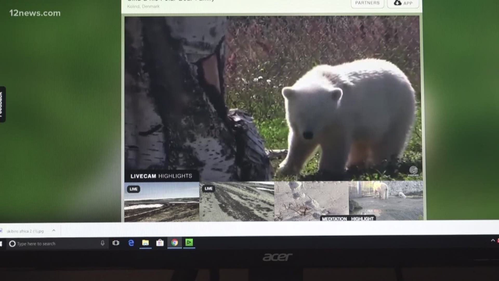 An expert weighs in on why people are so fascinated by live animal cameras.