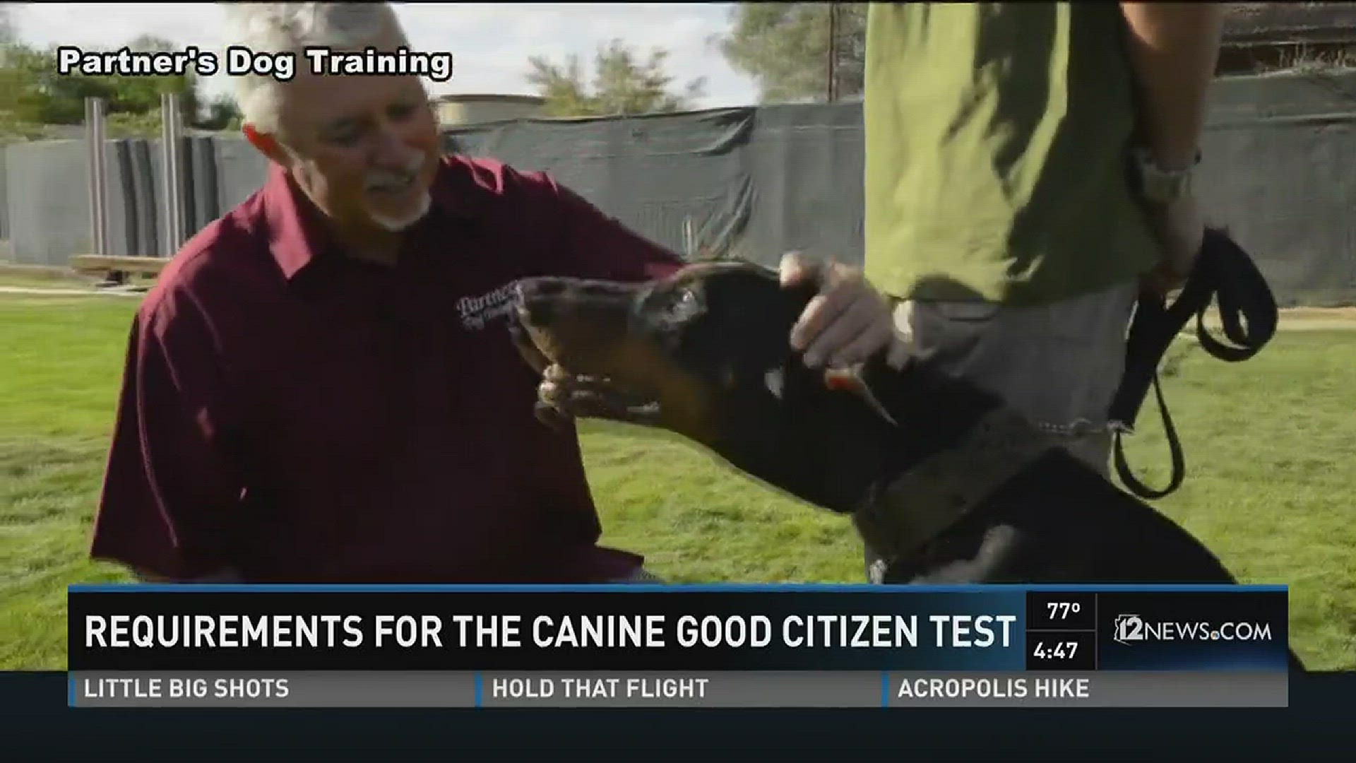 What's required for the Canine Good Citizen test 