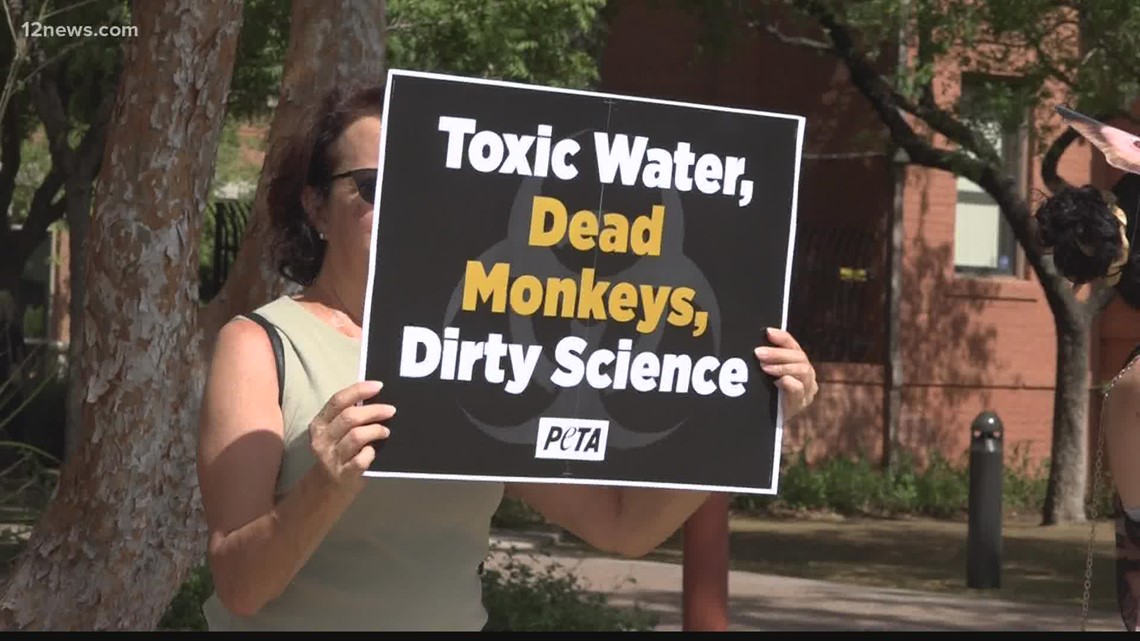 Protestors concerned over 'unintended diseases' at Mesa monkey breeding facility - Vimarsana News