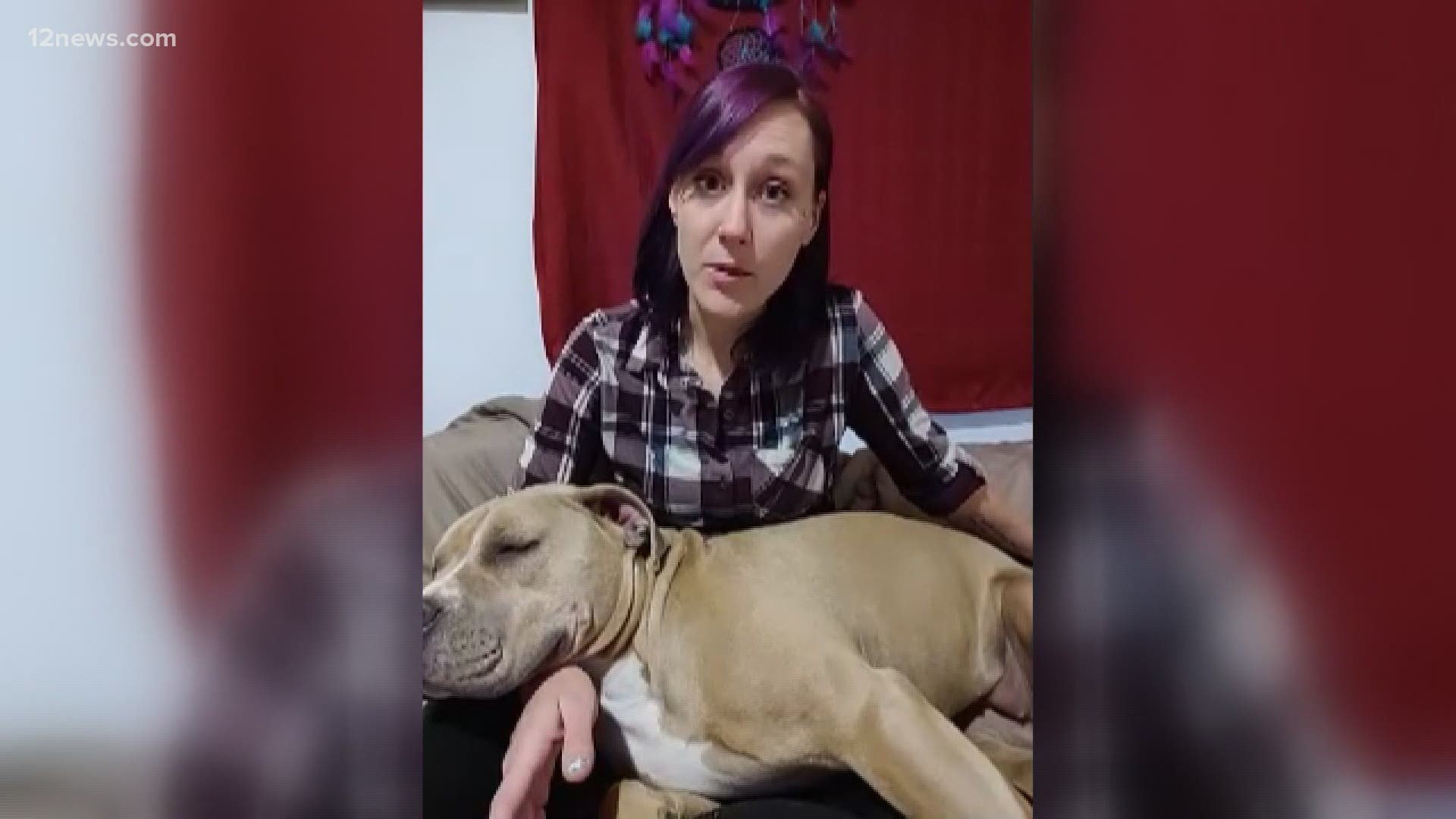 A Valley woman battling PTSD has been matched with an unlikely therapy dog in training. More info: www.cci.org. Team 12's Jen Wahl has the latest.