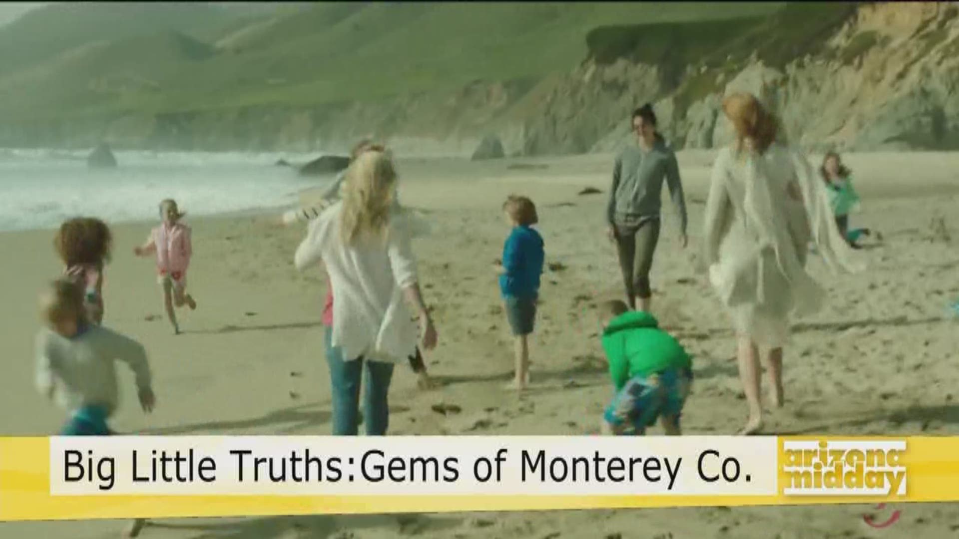 You know these cliffs and beaches from the show Big Little Lies and you can visit Monterey County! Lisa Ellen Niver explains why it is the perfect summer destination.