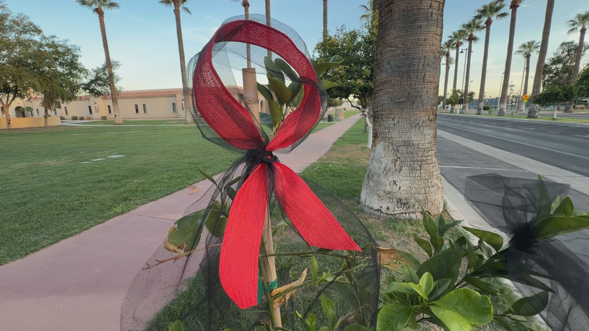 Arizona emergency rooms see spike in e-bike, e-scooter injuries