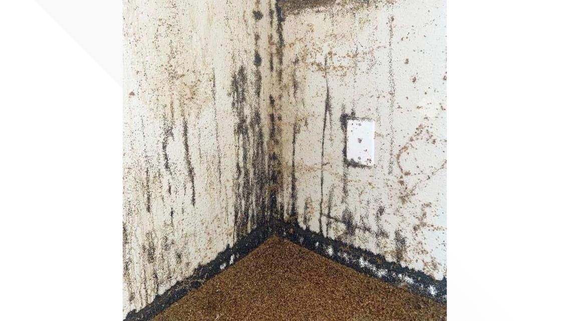 Thousands of bed bugs found in Arizona infestations