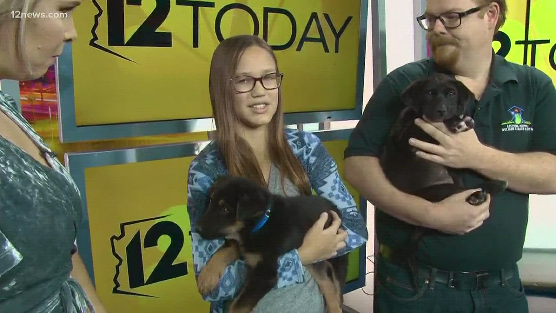 Alyssa raised funds for Arizona Animal Welfare League, a no-kill shelter, instead of asking for birthday presents.