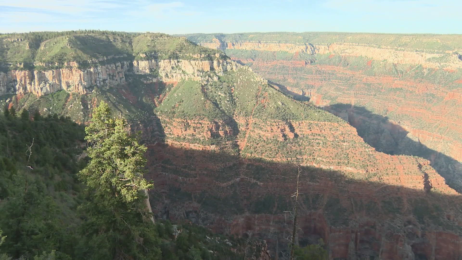 New details have been released about the death of a man who was killed in a fall at the Grand Canyon.