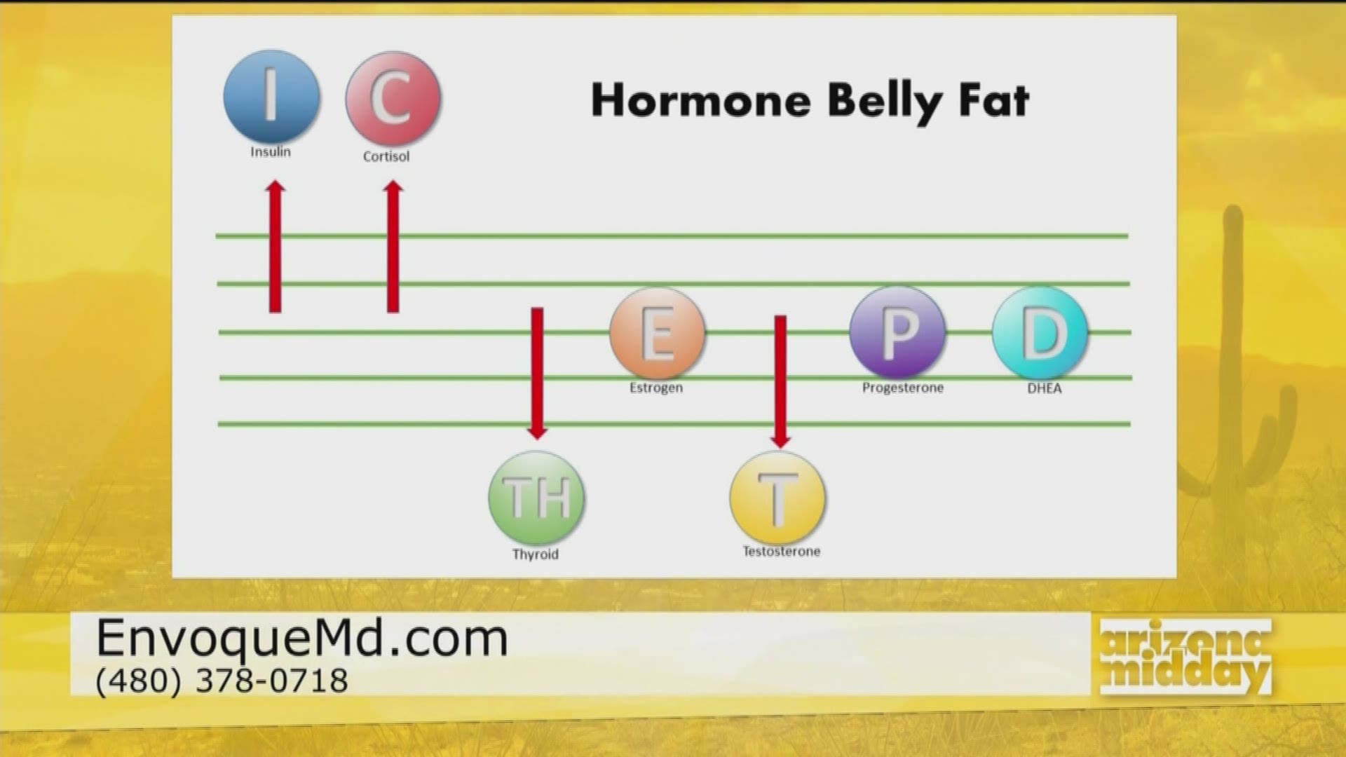Envoque MD explains a simple hormone test that can lead to helping you melt belly fat and get better sleep.
