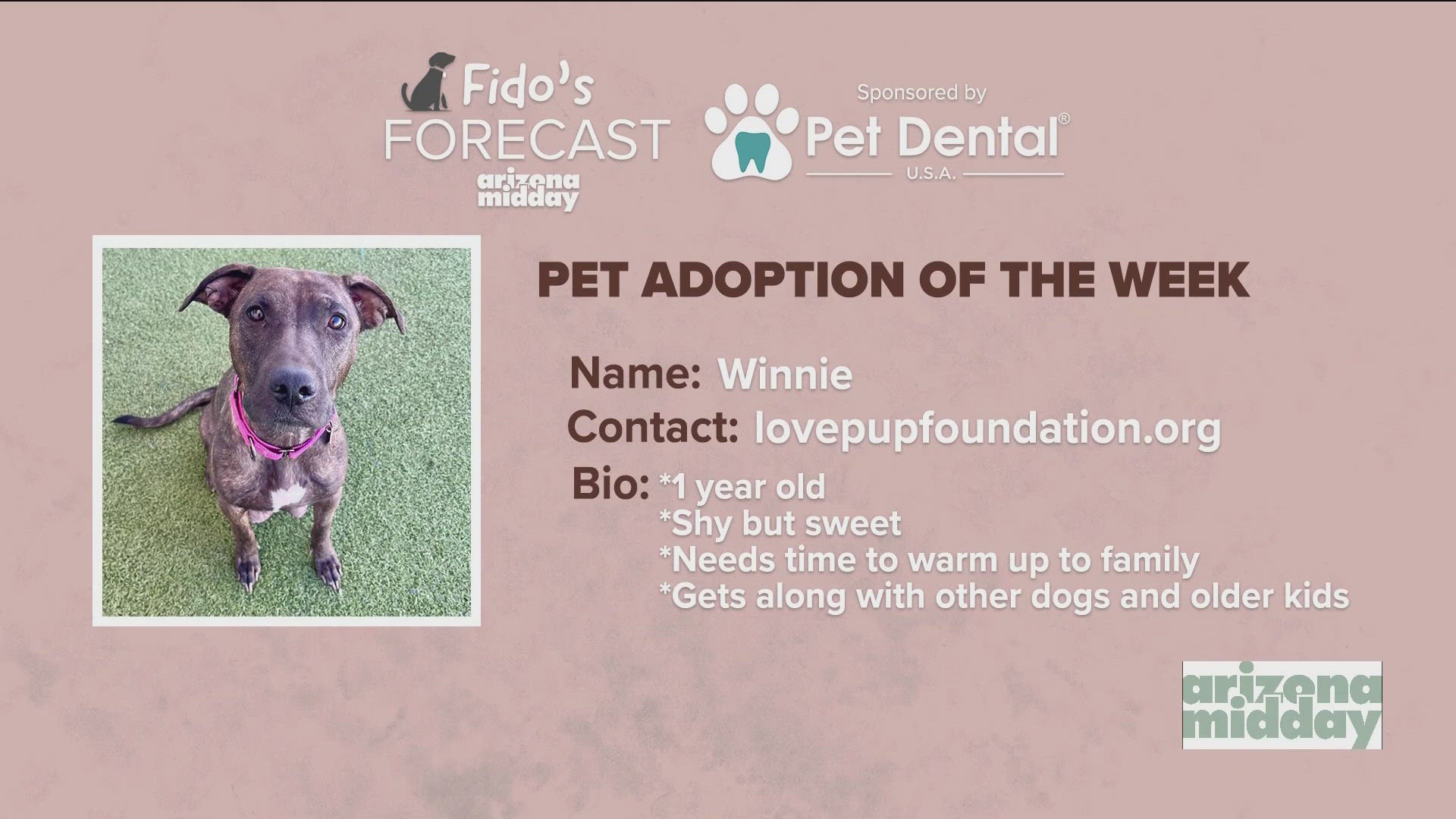 #LovePup Foundation brought in 1-Year-Old Winnie to help her find her “furever” home and we also have this weekend’s Fido’s Forecast.