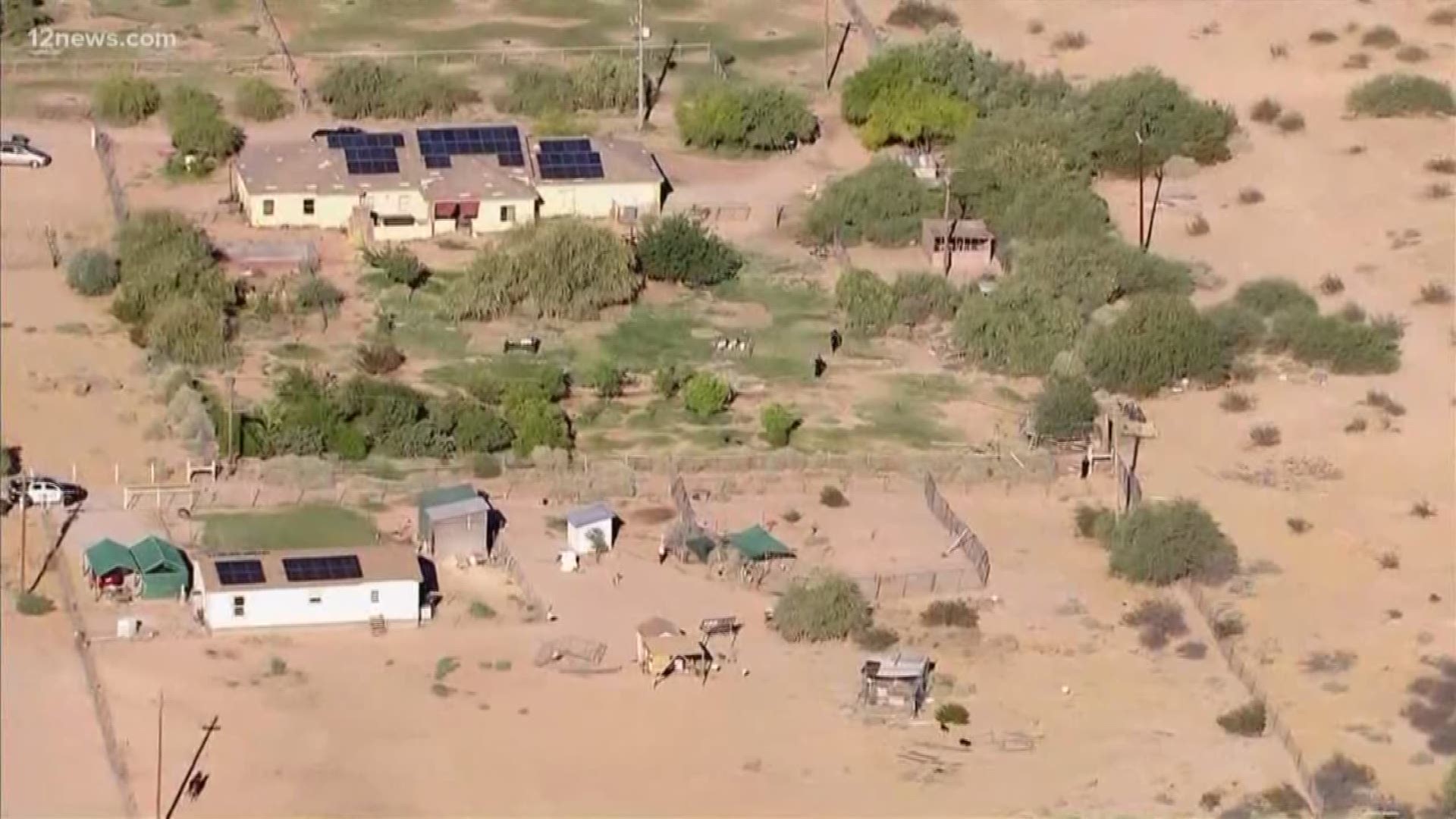 An 8-year-old boy was injured from zip line Monday, according to the Maricopa County Sheriff’s Office. Sky 12 showed police tape around what appeared to be a backyard zip line.