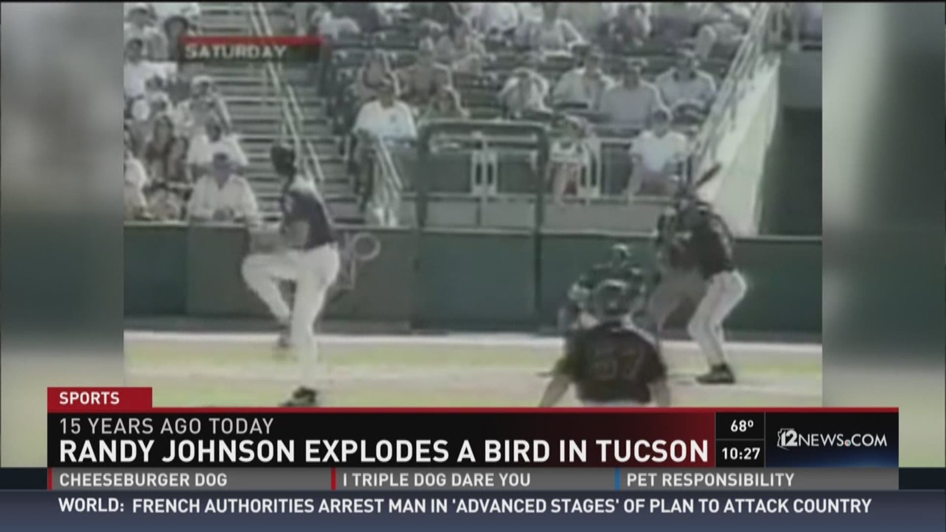 Thursday, March 24, 2016 is the 15-year anniversary of Randy Johnson hitting a bird with a fastball at spring training.