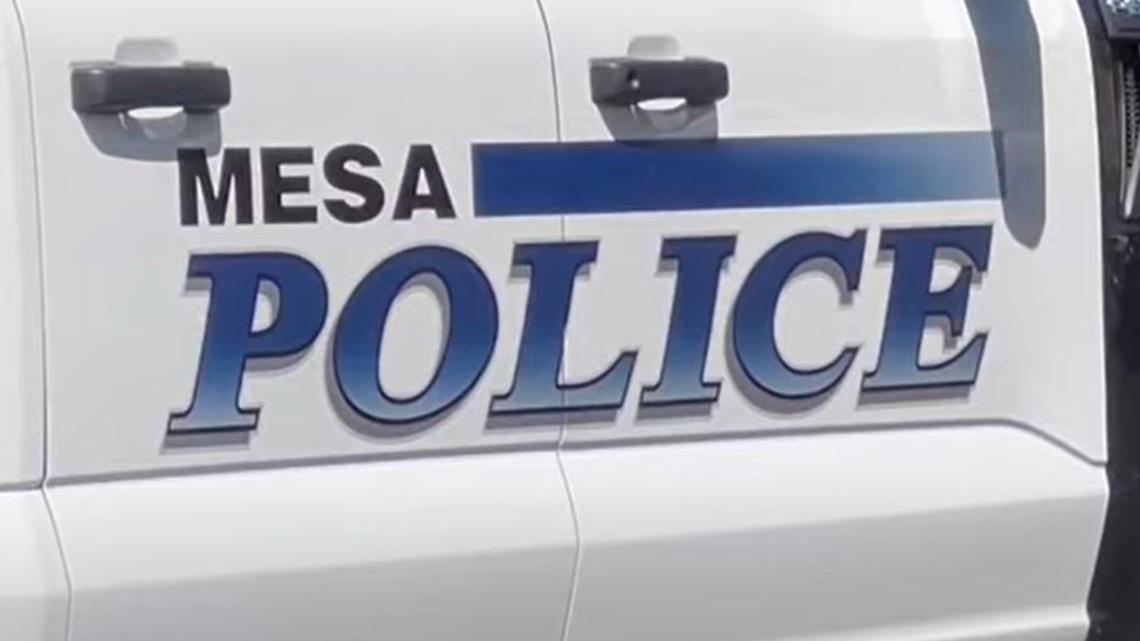 Police: Missing Mesa woman found dead