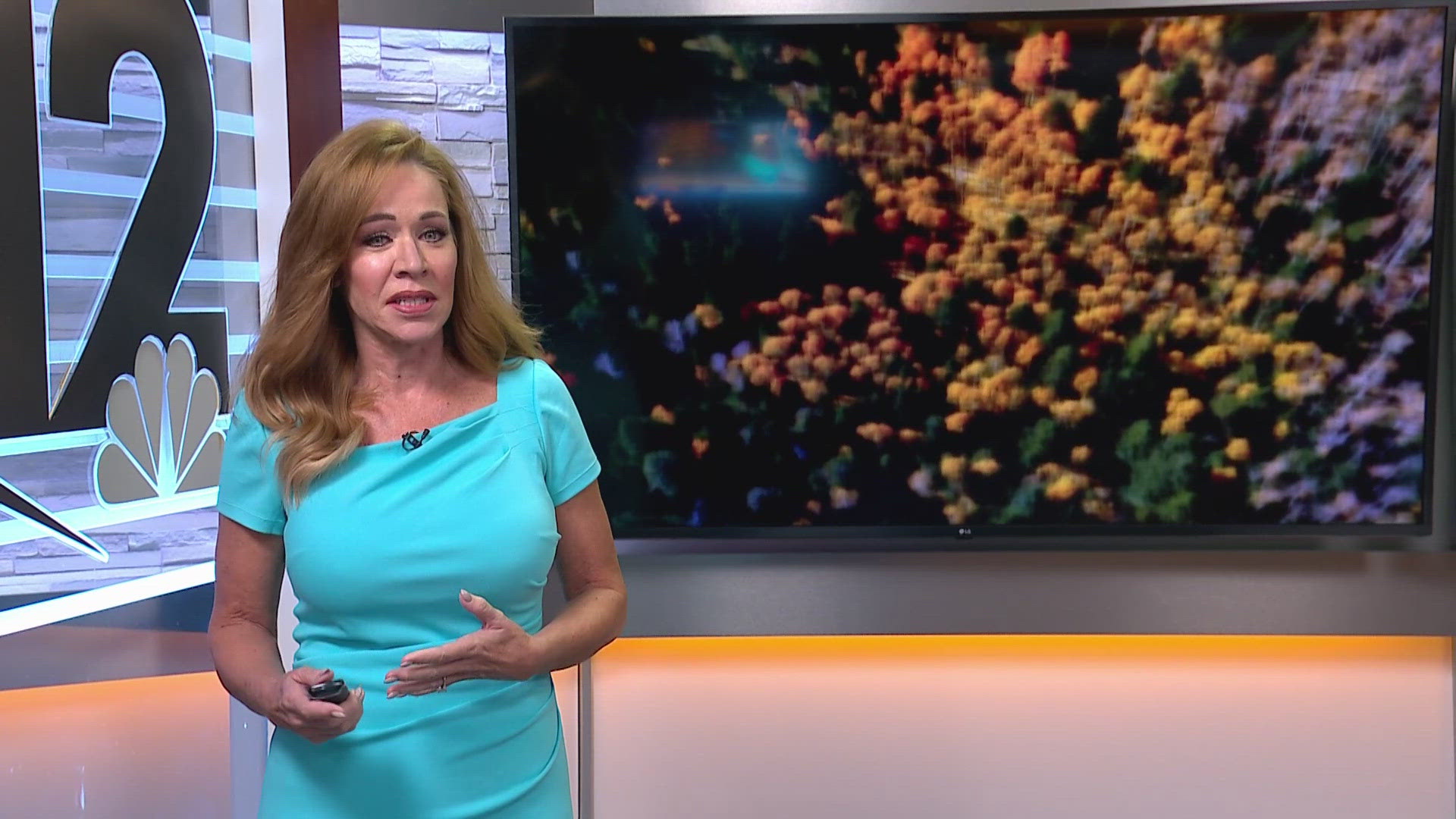 Here's why it's difficult to find red leaves during fall in Arizona. Ginger Jeffries explains.