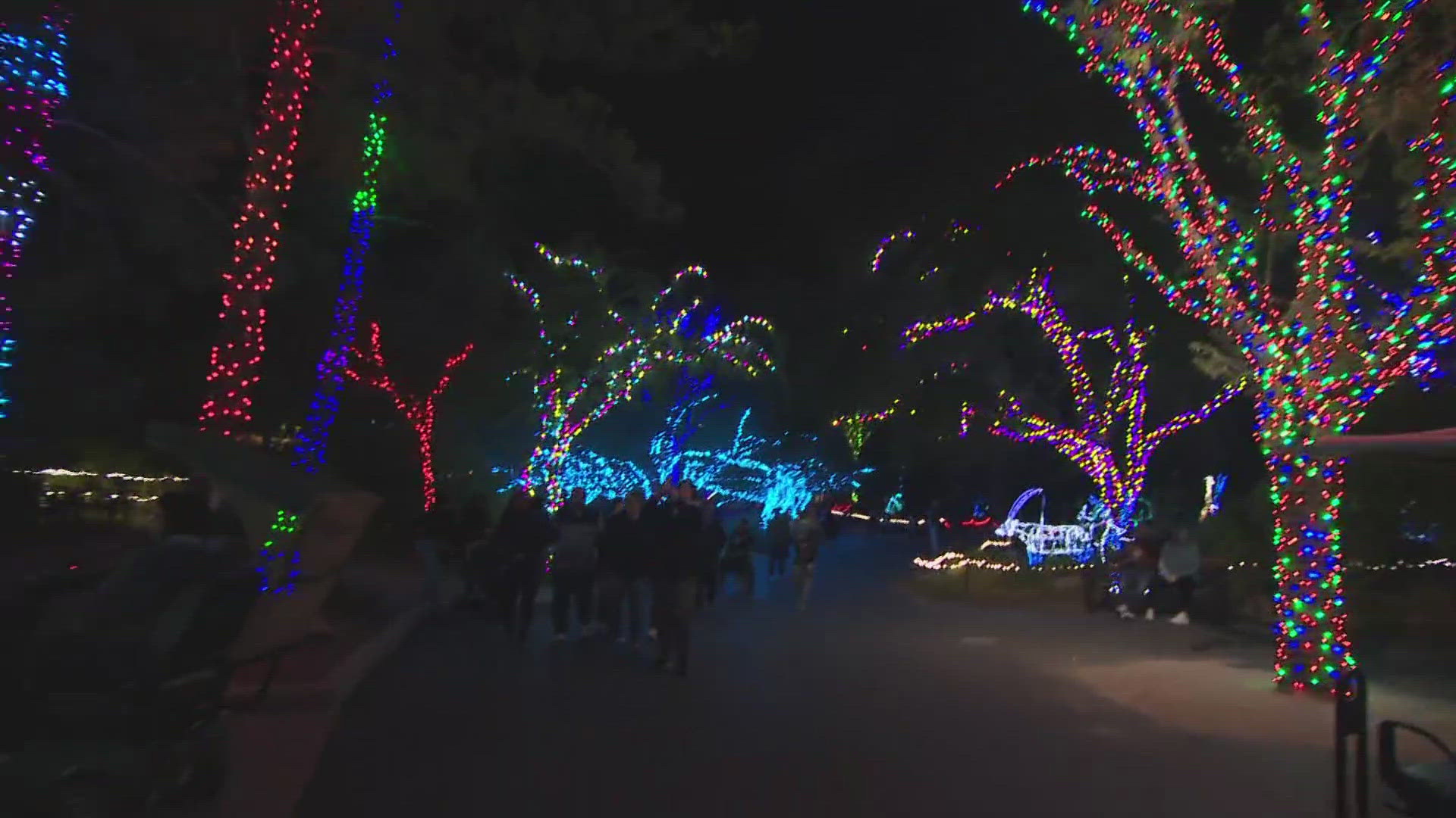 It's a Valley holiday favorite. Zoo lights are back at the Phoenix Zoo.