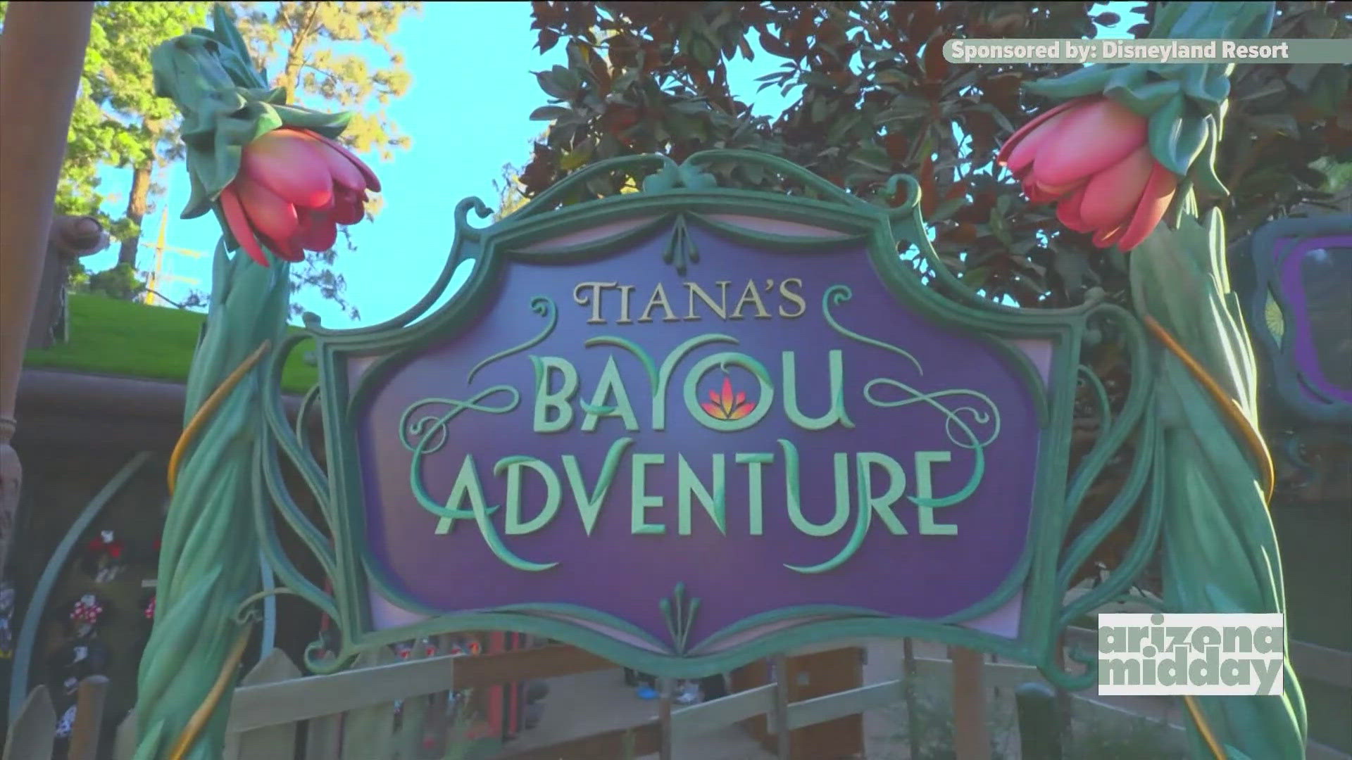 Disneyland Resort spokesperson Beth Stewart breaks down Tiana's Bayou Adventure and what guess can expect from the ride.