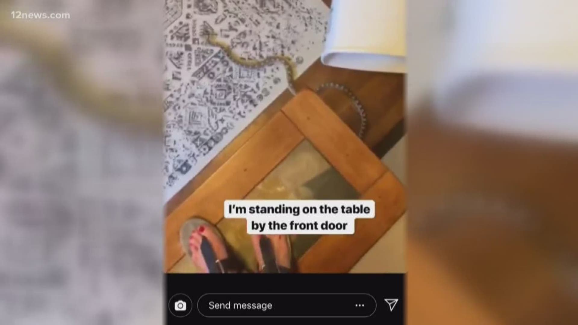 The temperatures are up, and the snakes are out. And for one Valley family, they're in ... as in, in their home. The Instagram story is raising the hair on a lot of our necks, but how can you tell the difference between a venomous snake and one that is fairly harmless?