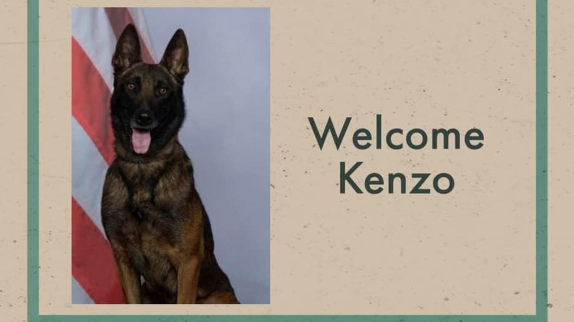 Pima County Sheriff's Department police dog dies - Vimarsana News