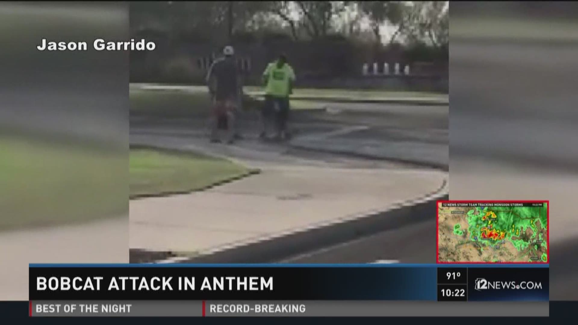 A man stepped in when a dog was attacked by a bobcat in Anthem.