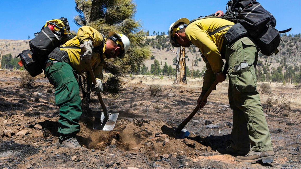 Sheriff's office: Flagstaff-area Tunnel Fire burned 30 homes - Vimarsana News