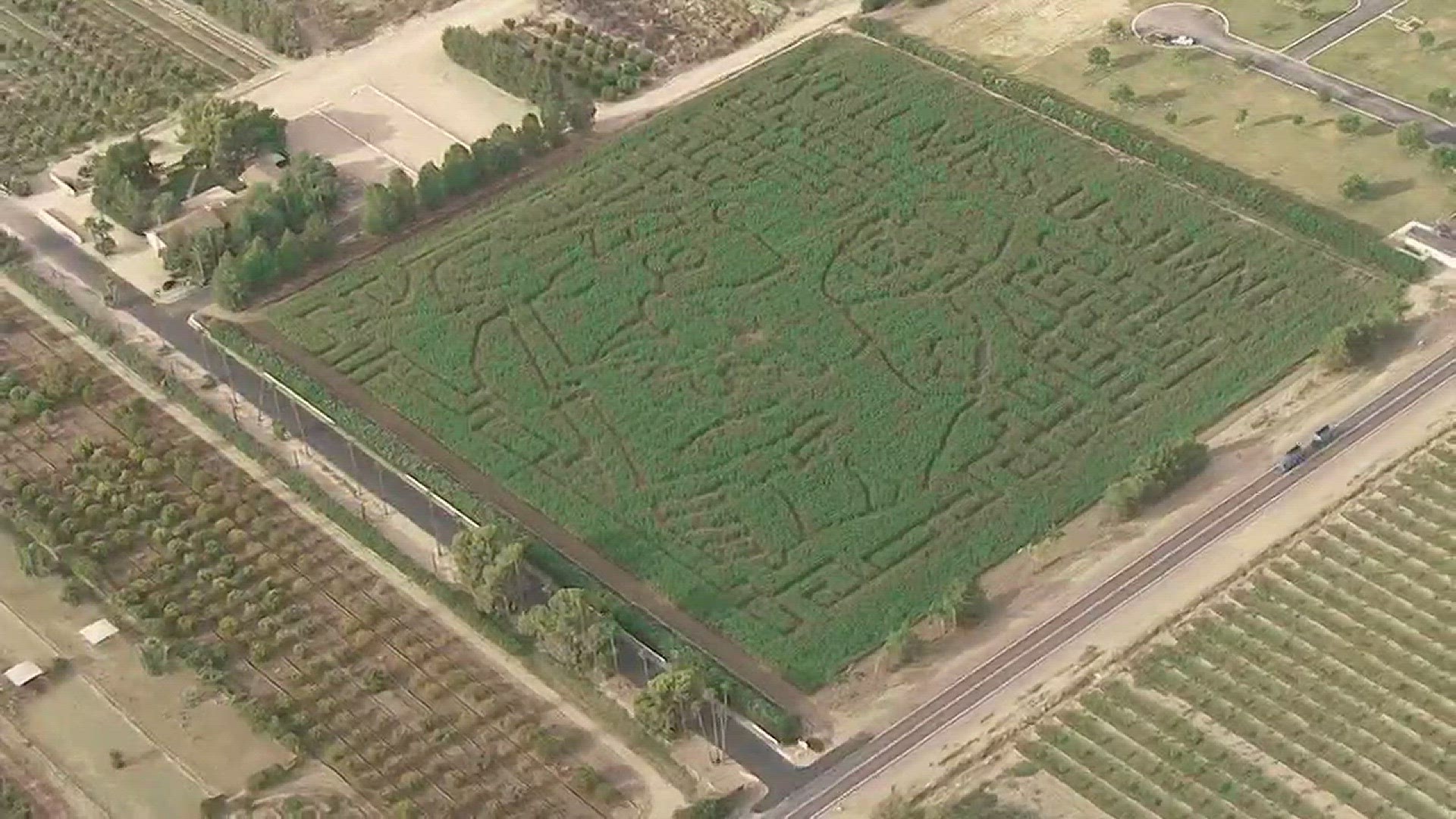 Shane Doan thought he was on his way to a round of golf but he found his image carved into a corn maze at Schnepf Farms.