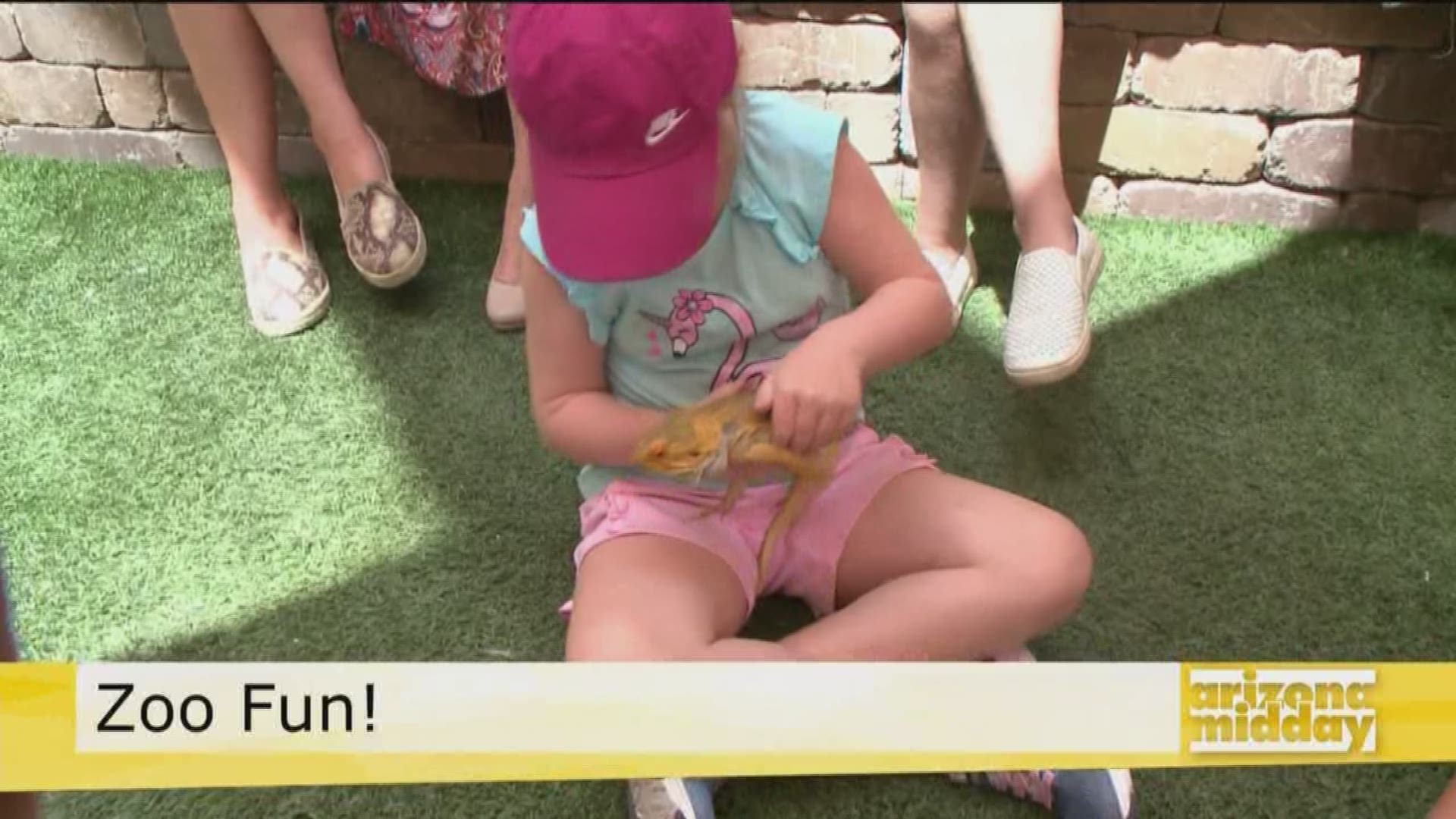 Kristy Morcom from Wildlife World Zoo shows us the cutest reptile critters, from snakes to bearded dragons and gives us the scoop on Summer Camp for Kids