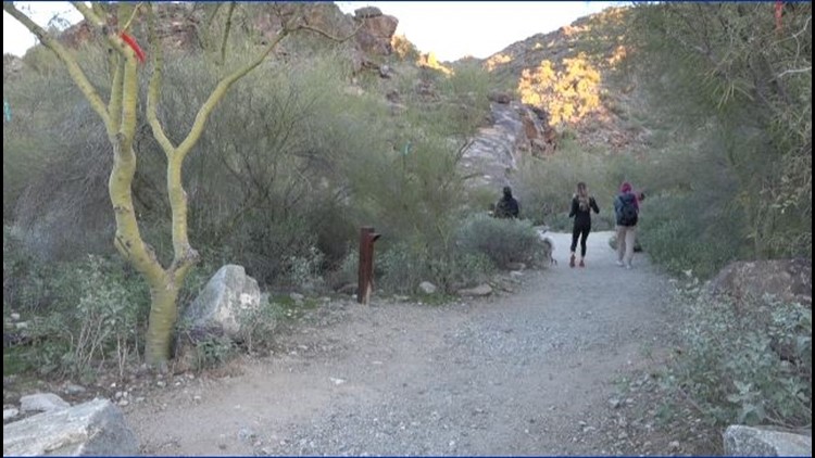 3 sets of human remains found near Phoenix recently. Here's how they get identified