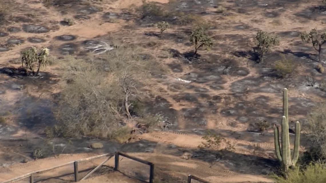 Brush fire near Apache Junction has been contained - Vimarsana News
