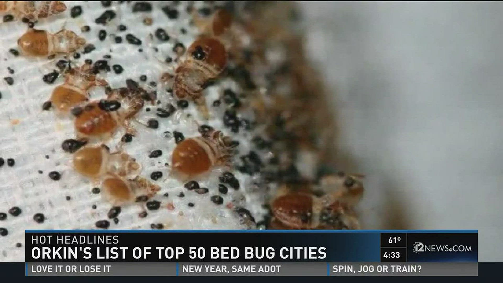 Orkin releases their 2016 top bed bug cities.
