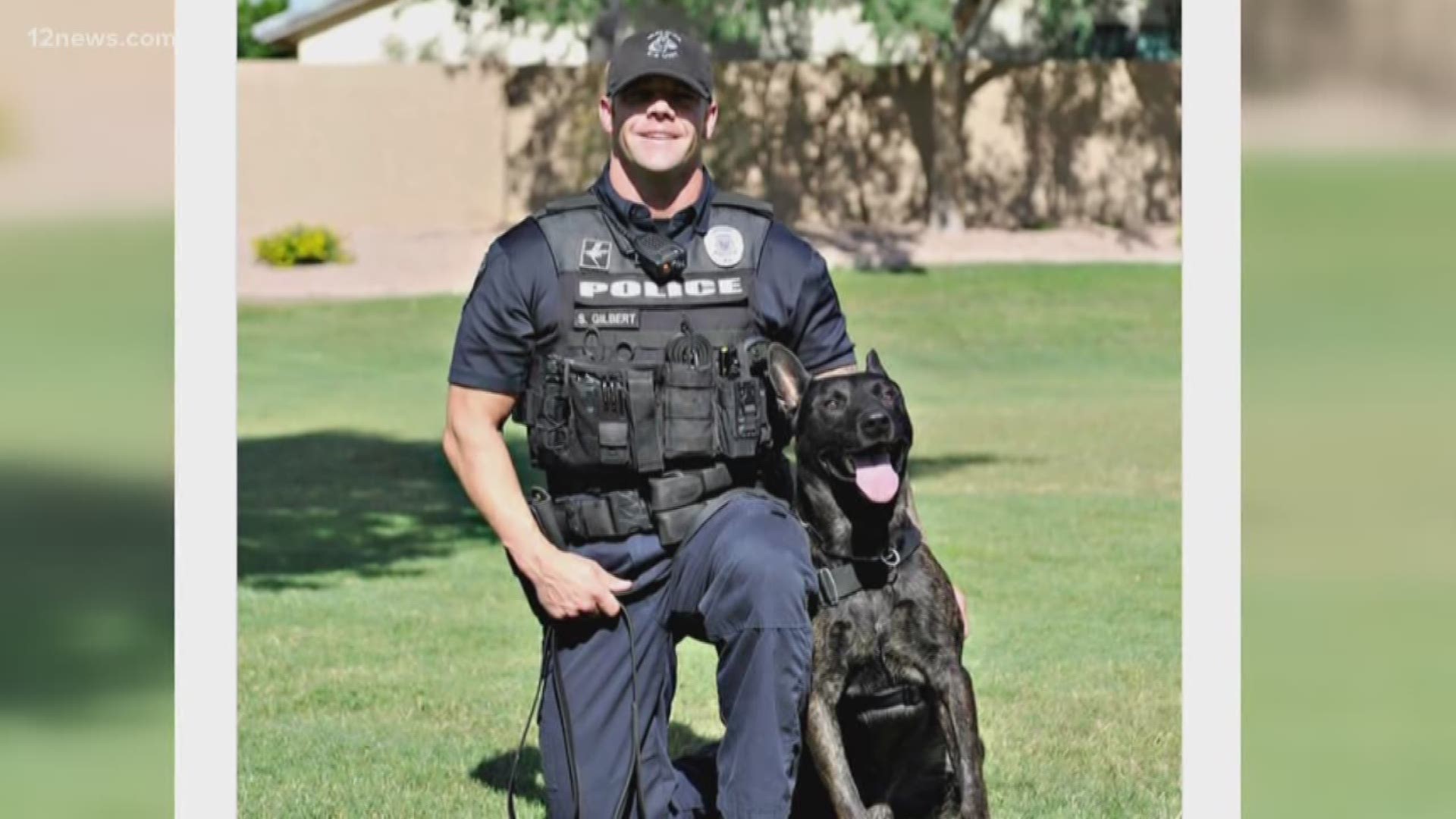 Gilbert police released a statement and photo marking the passing of one of their K9 officers. Murphy joined the force in 2013 and ended up passing from an aggressive form of cancer.